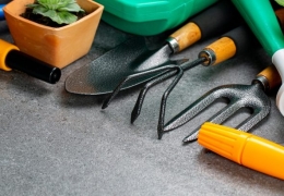 Cung cấp vật tư cảnh quan